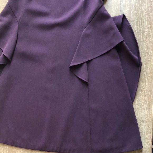 NWOT Rebecca Taylor Short Sleeve Crepe Ruffle Dress - Picture 9 of 15